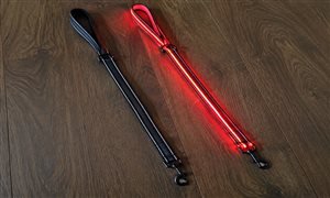 LED vs reflective dog leash comparison — visibility distance, battery vs passive, cost analysis