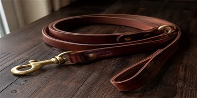Leather dog leashes — full-grain, rolled, braided, vegetable-tanned, custom hardware, premium retail