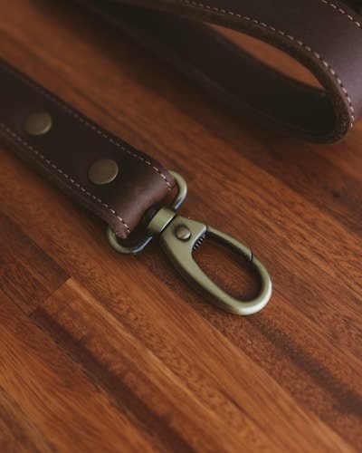 Leather dog leashes — full-grain, rolled, braided, vegetable-tanned, custom hardware, premium retail