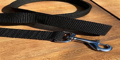 Nylon dog leashes — flat and tubular webbing, 20+ colors, custom Pantone dye, wholesale bulk