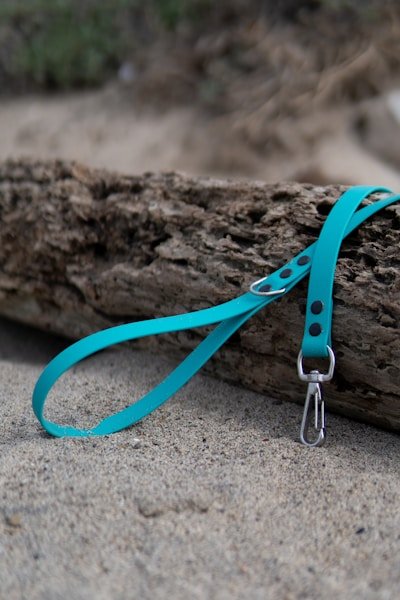 Nylon dog leashes — flat and tubular webbing, 20+ colors, custom Pantone dye, wholesale bulk