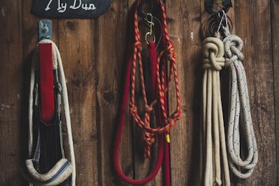 Rope dog leashes — climbing rope, paracord, marine-grade braided, custom braid patterns