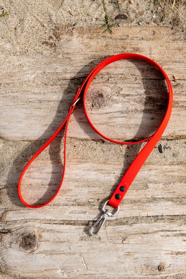 Premium dog leash on wooden floor — custom OEM, wholesale bulk production, BSCI-audited, ISO 9001 certified