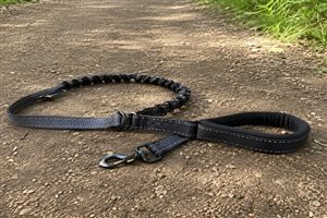 No-pull bungee training leash 5ft — dual-clip, shock-absorbing elastic, padded handle