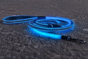 Reflective + LED hybrid dog leash 6ft — fiber optic with 3M reflective webbing, dual safety