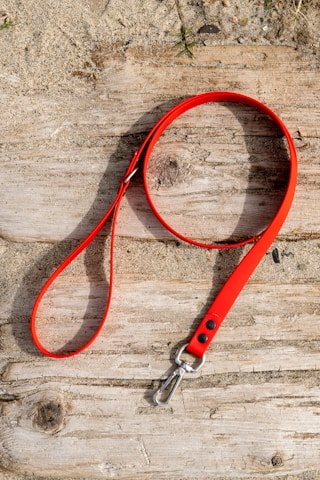 Fiber optic LED dog leash 6ft — USB-C rechargeable, 3 modes, IP65 waterproof, custom OEM
