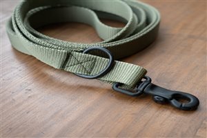 Nylon dog leash 6ft — flat webbing 20mm, 20+ colors, custom Pantone dye, wholesale bulk