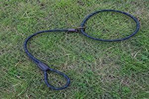 Slip lead training leash 6ft — 10mm climbing rope, leather stopper, professional trainer grade